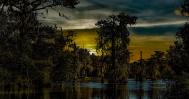 5d louisiana