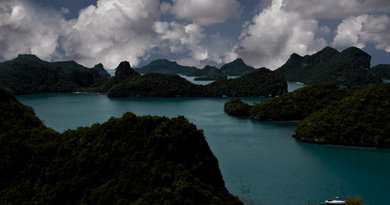 asia pacific