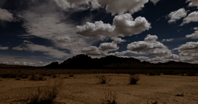 new mexico day