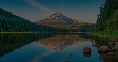 oregon 03 00